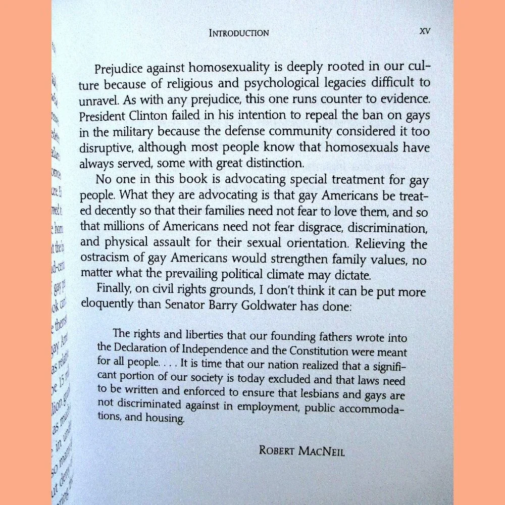 Book - Straight Parents, Gay Children: Inspiring Families to Live Honestly.... - Picture 5 of 14